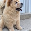 Miska