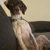 Lottie - Wirbelwind sucht Neustart