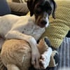 Lottie - Wirbelwind sucht Neustart