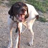 Lottie - Wirbelwind sucht Neustart