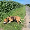 21776 Wanna !Mr.Bin sucht seine für immer Familie!