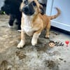 Nike  kleiner Bub mit ganz viel Herz