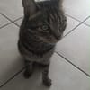 Honey W ~6jahre