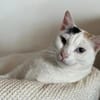 Lany sucht ein neues Zuhause