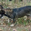 Mila, zutraulich, offen, freundlich