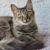 Yuki & Kuzya suchen liebevolles Zuhause