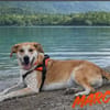Marco