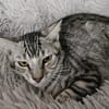 Lilly