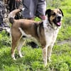 GOLFO möchte dein Leben bereichern