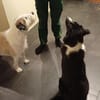 ❤Maja...wünscht sich eine Familie mit Kinder!