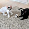 Bluey & Nouar suchen ihr gemeinsames Zuhause