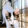 Bluey & Nouar suchen ihr gemeinsames Zuhause