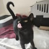 Bluey & Nouar suchen ihr gemeinsames Zuhause