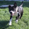 tyson