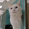 Princy (reservé)