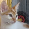 KIMY (réservée)