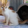 KIMY (réservée)