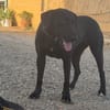 EVELIN (Los Reyes)