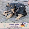 Ivana - beschützende Mama - sucht ihre Familie die sie liebt