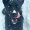 LUNA -auf der Suche nach Geborgenheit!