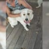 Coco und Cora - zwei Herzen, eine Seele