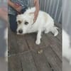 Coco und Cora - zwei Herzen, eine Seele