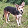 Trixi ❤ wartet in 91587 Adelshofen