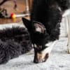 Bonita: verzaubert sie auch dich