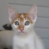 KIMY (réservée)