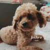 JETHRO
