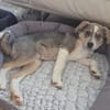 COOPER - schau mir in die Augen Kleines und ich bin Dein!