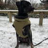MILLY HAT GROßE HOFFNUNG AUF EIN NEUES ZUHAUSE