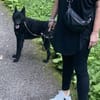 Chuck verliert sein Zuhause