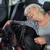 Enzo - kein einfacher Dobermann