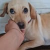 Lucy  sucht Menschen mit Herz