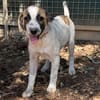 MYRTE (en cours d'adoption)