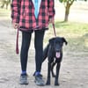 BAGHEERA