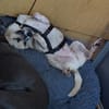 Luca sucht seine Familie