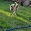 Luca sucht seine Familie