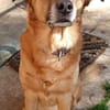 Darcy sucht seine Familie