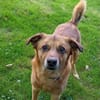 Darcy sucht seine Familie