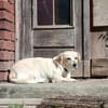 Gretel sucht ihre Familie