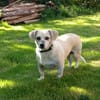 Gretel sucht ihre Familie