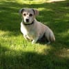 Gretel sucht ihre Familie
