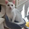 Borat & Johnny Dreamteam sucht Familie zum kuscheln