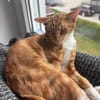 Borat & Johnny Dreamteam sucht Familie zum kuscheln