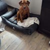 Aaramy sucht ein neues Zuhause