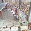 Unser Sonnenschein Kira