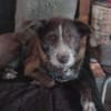 Unser Sonnenschein Kira