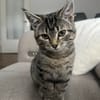 Milo sucht sein Für-immer-Zuhause